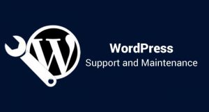 How can contact WordPress support?
