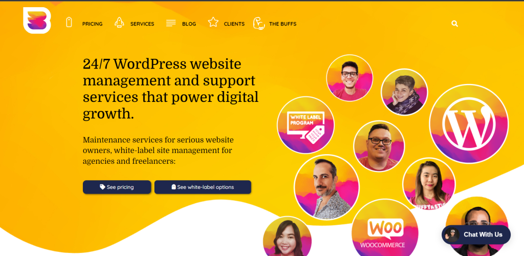 24/7 WordPress website management and support services that power digital growth.
